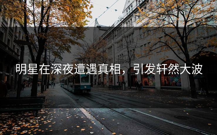 明星在深夜遭遇真相，引发轩然大波