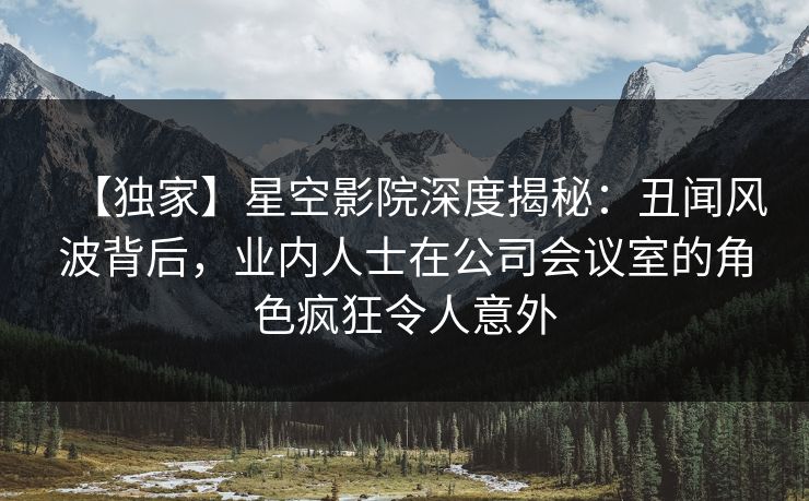 【独家】星空影院深度揭秘：丑闻风波背后，业内人士在公司会议室的角色疯狂令人意外